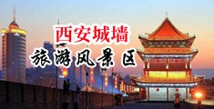 男人的逼逼插进女人逼逼视频中国陕西-西安城墙旅游风景区